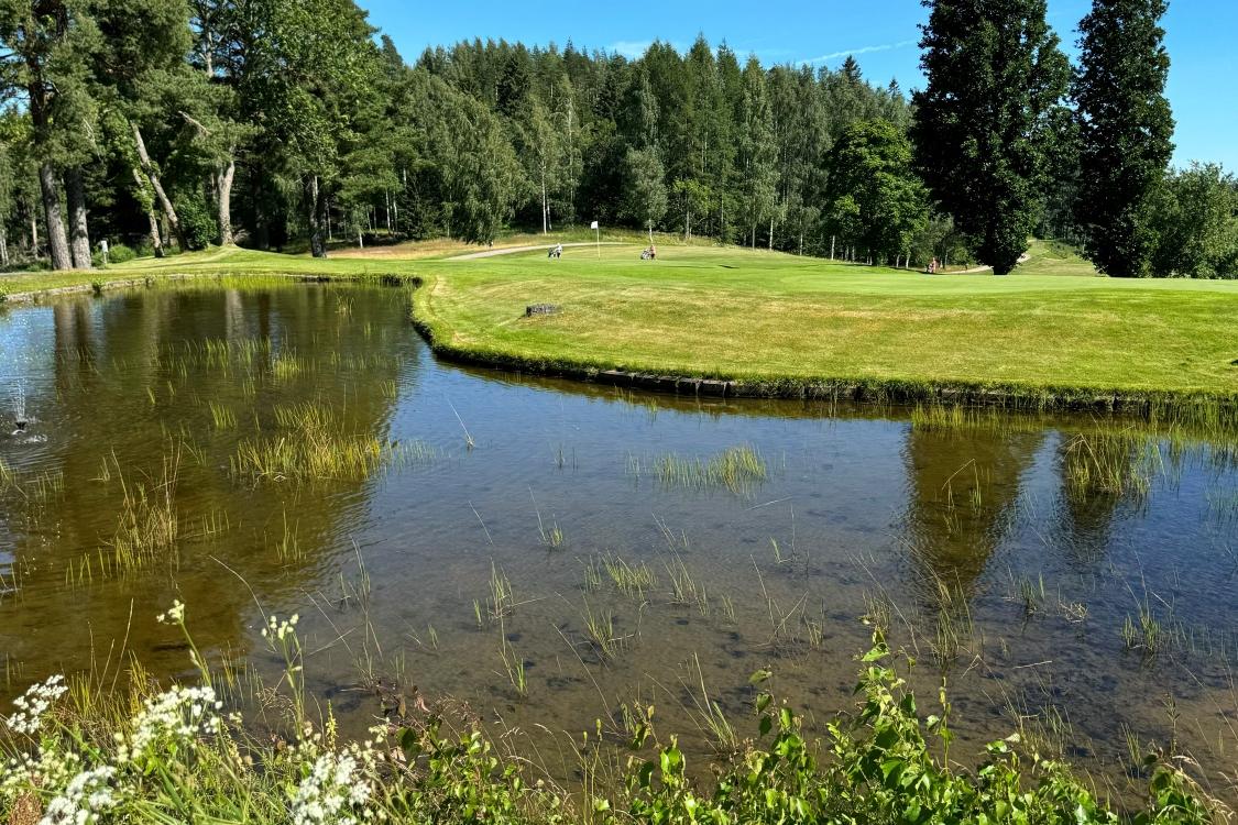 Ruukkigolf