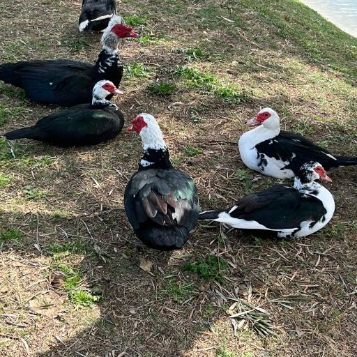 Tunisian El Kantaoui Golf Course