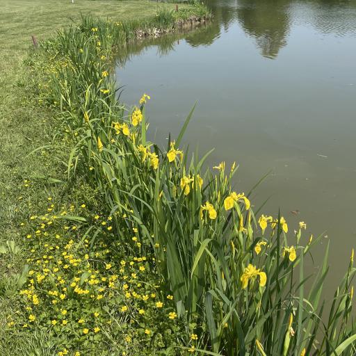 Golf della Montecchia