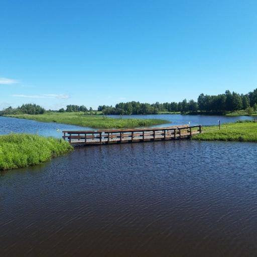 Tornion kenttä
