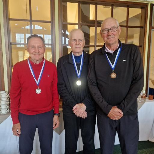 2025 tourien finaali Vanajanlinna