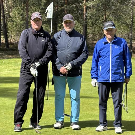 Vasemmalta Jarmo Raatikainen (Harjattula golf), Pasi Sillanpää (Loimijoki golf) ja Raimo Sepponen (Tammer-Golf)